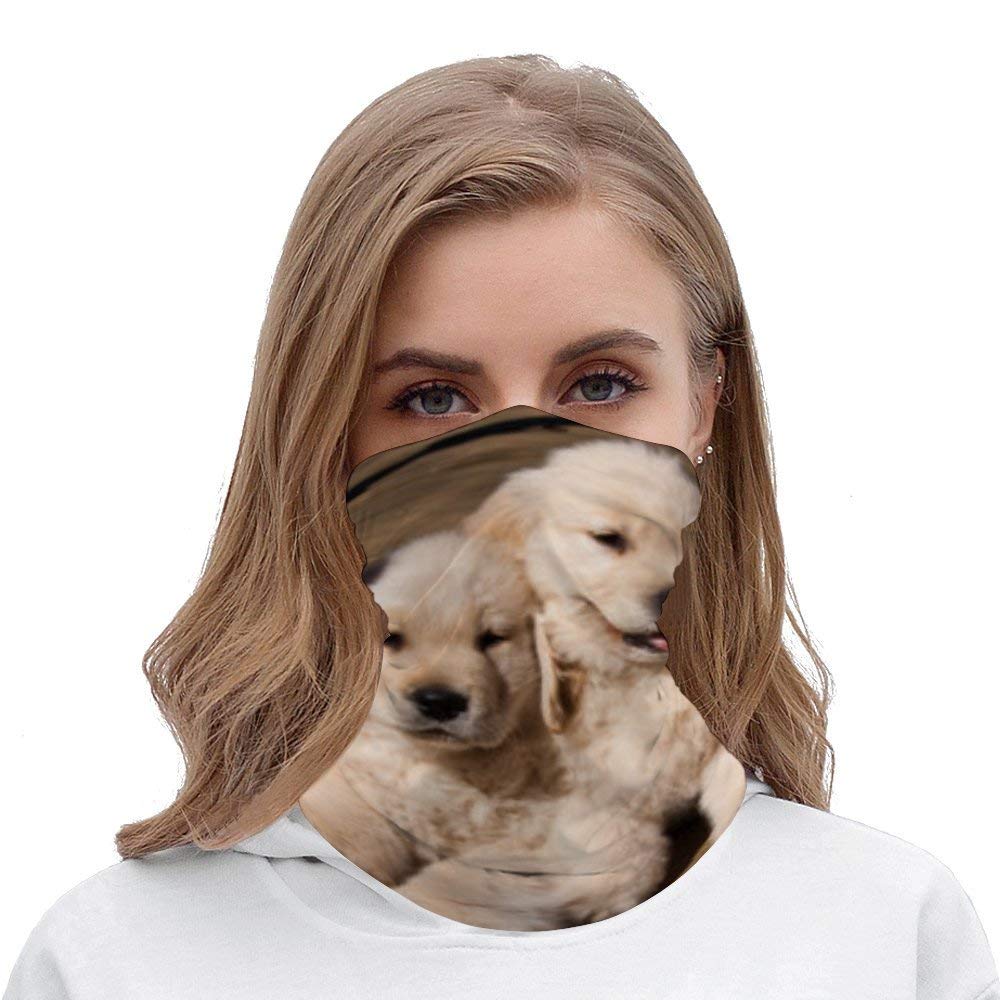 Unisex Seamless Face Mask Bandanas Neck Gaiter Tube Headwear Bandana, Sweet Golden Retriever Puppies Face Mask Bandanas for Dust, Motorcycle Face Bandana for Women Men Face Scarf