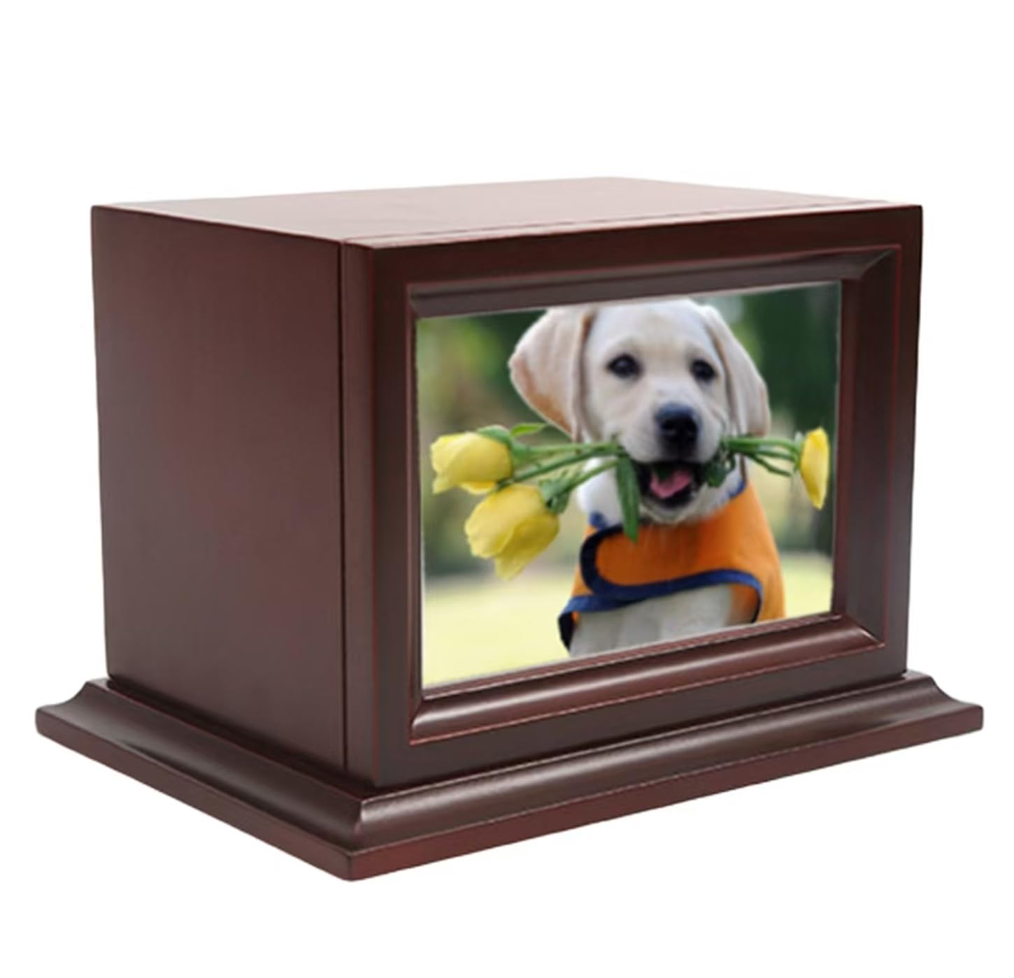 Photo 1 of Wooden Pet Memorial Keepsake Urns, Photo Box Pet Cremation Urn?Cremation Urns for Dogs Ashes?Cat Urn?Loss Pet Sympathy Remembrance Gift (Extra-Large)
