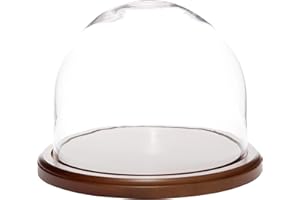 Plymor 8 inch x 6.5 inch Glass Display Dome Cloche (Dark Wood Base)