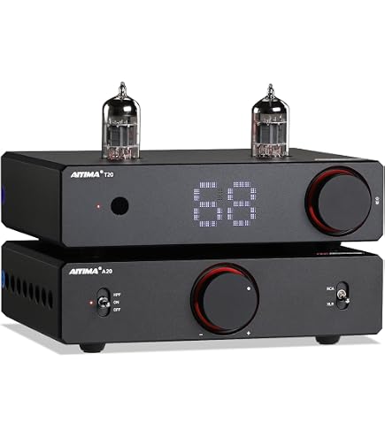 Amazon.com: AIYIMA A07 TPA3255 Power Amplifier 300Wx2 HiFi Class D