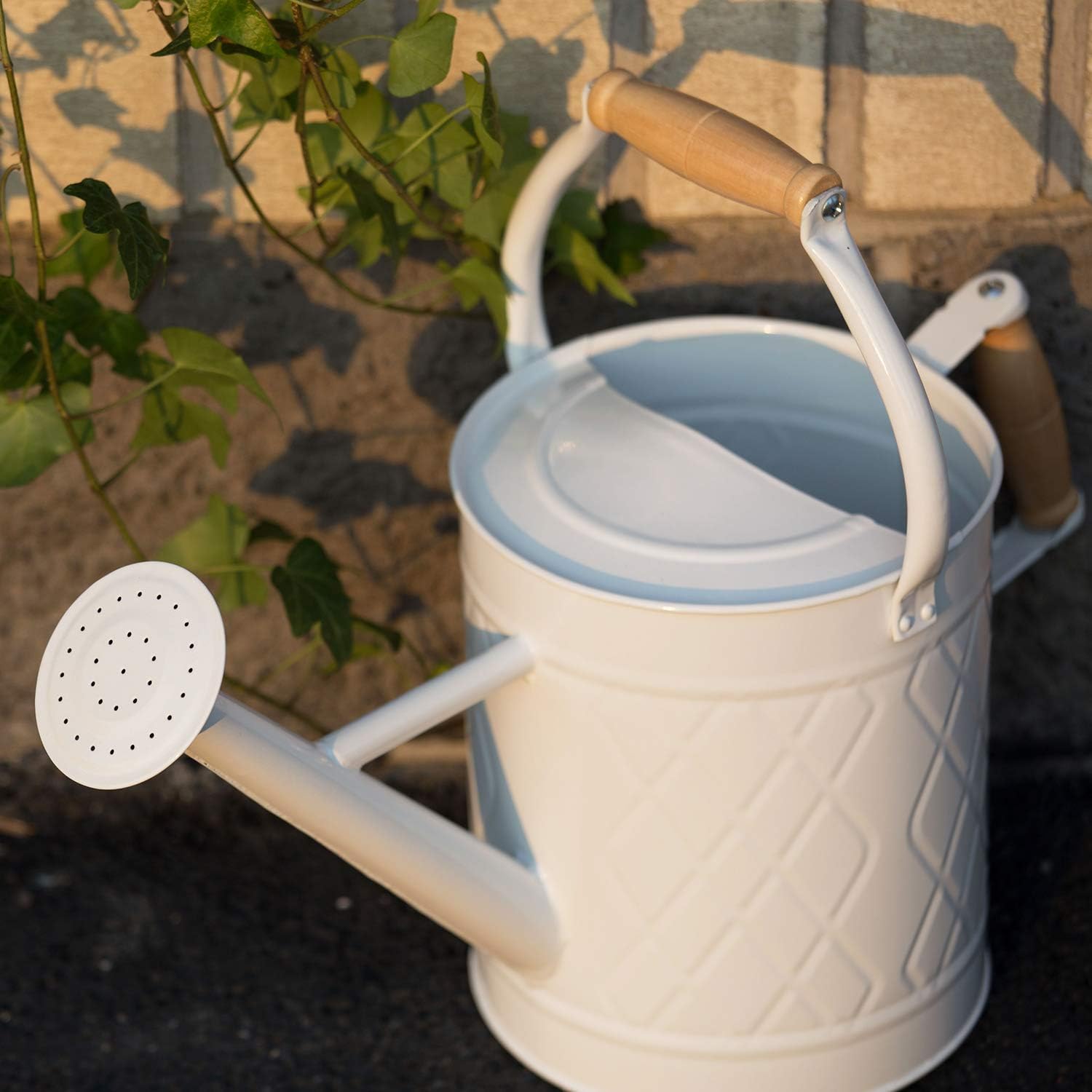 HORTICAN Galvanized Watering Can Modern Style Watering Pot with Handle and Rosehead for Outdoor and Indoor House Plants (1 gal/White) : Garden & Outdoor