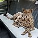 Dog Car Seat Cover Hair Free Rear Bench, Convertible Black Hammock Shaped Comfort Accessory for Cars, SUVs & Trucks. Waterproof, Nonslip, Washable Pet Backseat Protector, Pets Blanket & Bag