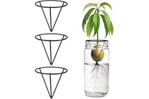 Tyqour 3 Pcs Avocado Tree Growing Kits - Avocado Seed Starter Vase Rack, Seed Holder for Mason Jar of Wide-Mouth, Triangular Metal Bracket for Home Office, Gardening Lovers Gift (Black,Without Jar)
