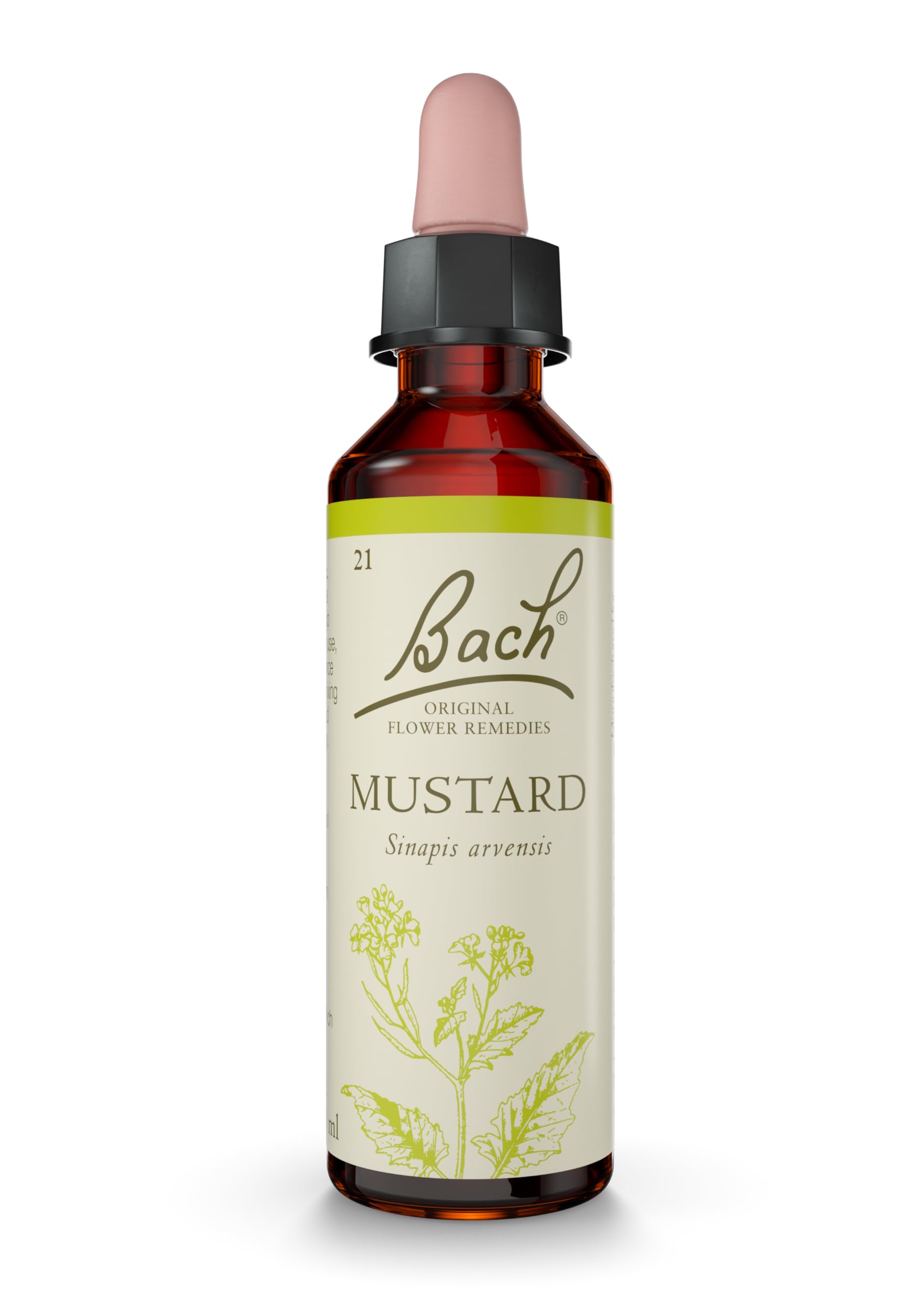 Bach Original Flower Remedies Mustard, Live The Day, Stay Joyful, Emotional Wellness, Natural Flower Essence, 20ml