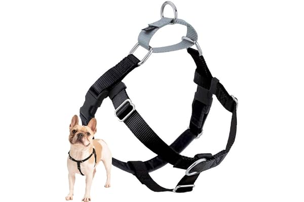 2 Hounds Design Freedom No Pull Dog Harness, Adjustable Harness, Easy Walking & Comfortable Control, Fits Small, Medium & Lar