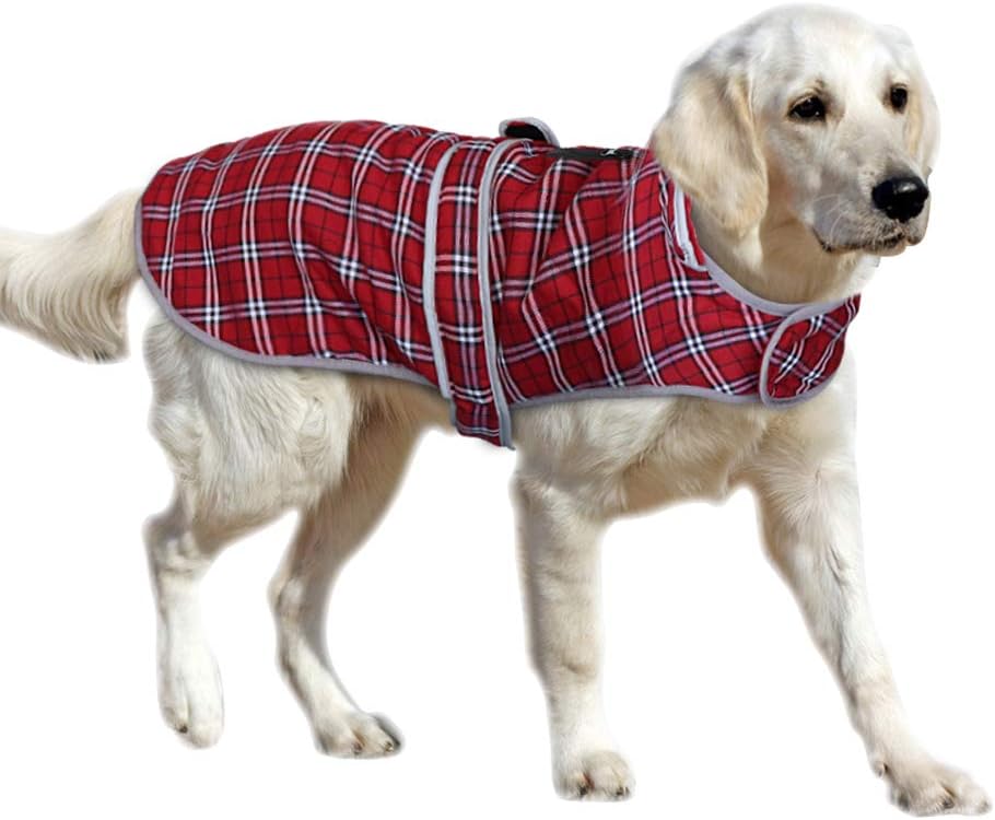 dog coats for medium dogs