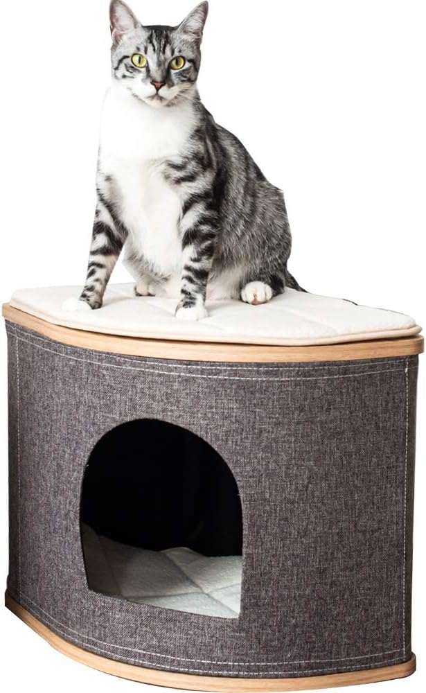 Catry, Wooden Cat House Cat Condo Cat Bed with Jute Fiber Fan-Shaped for Any Size (CT19580) : Pet Supplies