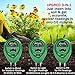 Soil PH Meter 3-in-1 Soil Test Kit Moisture Lawn PH Tester Digital with Moister PH Sunlight for Plants Garden Home FarmIndoor & Outdoor (No Battery Needed)thumb 1