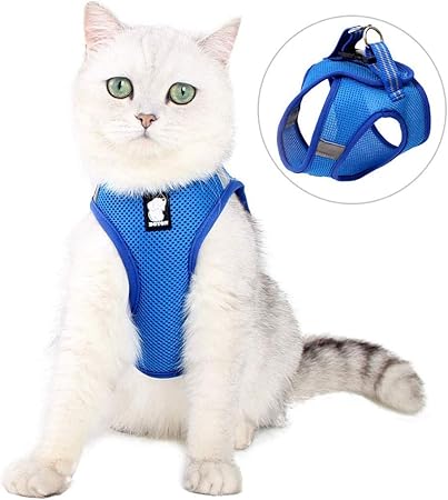 amazon cat leash