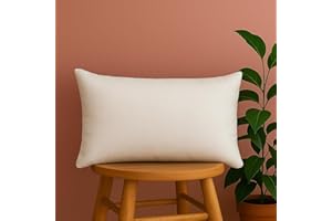 TRENDY HOME BY PEPMART TRADERS Trendy Home 12x20 Throw Pillow Insert, Cushion Sham Stuffer Hypoallergenic, Lumbar Support Decorative Home Outdoor Couch Bed Pillow Filler (Non Woven)