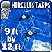 9' x 12' - Tent Shelter Tarp Cover Waterproof Tarpaulin Plastic Tarp Protection Sheet for Contractors, Campers, Painters, Farmers, Boats, Motorcycles, Hay Bales - Hercules Tarp - Blue/Silver