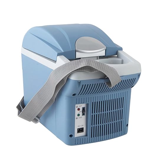 LT&NT 6L Coche refrigerador portátil frío y Caliente Caja de Viaje ...