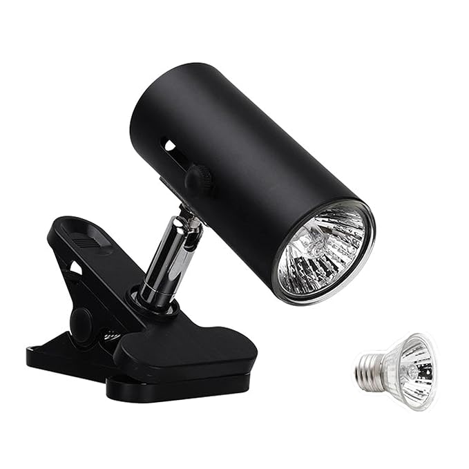 75W Reptile Heat Lamp Tortoise Heat Lamp Basking Lamp Amazon.in Electronics 75W Reptile Heat Lamp Tortoise Heat Lamp Basking Lamp Amazon.in Electronics