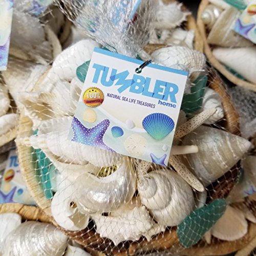 4 Tumbler+Home+White+Seashells+Glass