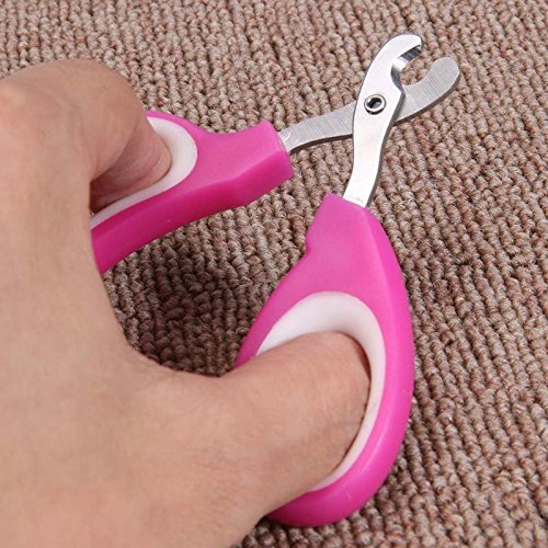 Pet Nail Clipper Scissors Pet Dog Cat Nail Toe Claw Clippers Scissors Trimmer Grooming Tools for Animals Pet Supplies
