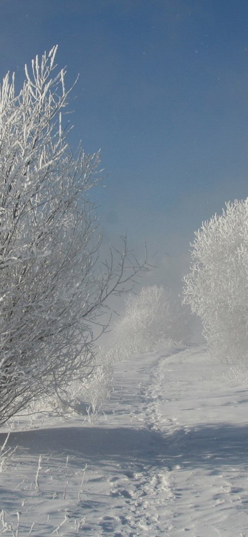 PeelitStickit, Beautiful Nature Wall Murals, ID-3296, vinyl