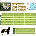 wegreeco Washable Female Dog Diapers (Pack of 3)
