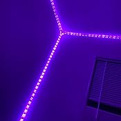 Amazon.com: Daybetter Led Strip Lights 32.8ft with Remote ...