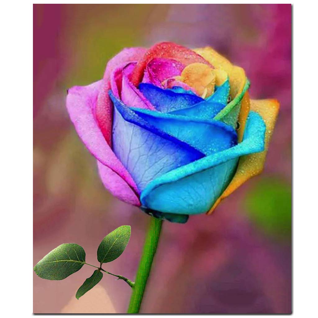 Fokenzary DIY Paint by Numbers Oil Painting Canvas for Kids or Adults Beginner with Brushes and Acrylic Paints Frameless(40x50cm Rose)