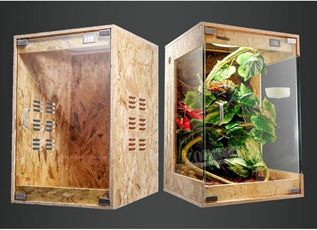 lizard tank pets at home