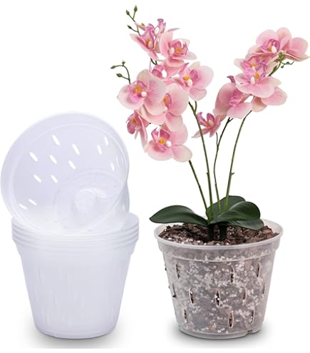 10 Pièces Pot Transparent Orchidée Pot Orchidee 11,5Cm Pot Transparent Plante Avec Trous De