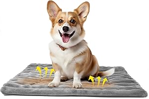 PETMARKET Self Warming Dog Bed, Washable Self Heating Cat Mat Heated Dog Crate Pad, Extra Warm Thermal Pet Pad Blanket for Indoor Outdoor with Soft Corduroy Velvet Cover Non-Slip Bottom (M30''x20'', Grey)