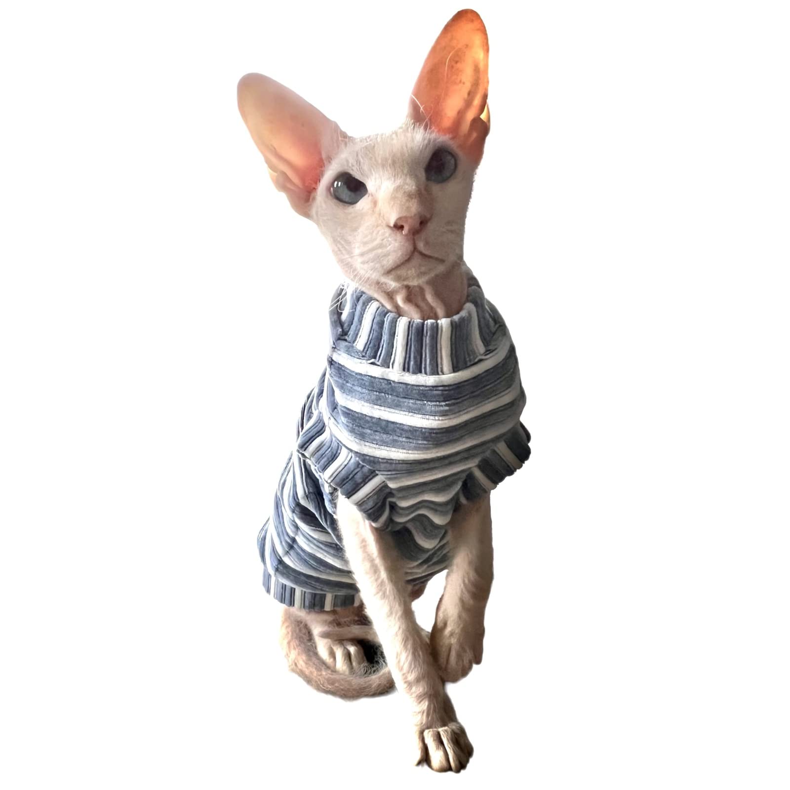Kotomoda Cat's T-shirt Corduroy Dusty blue for Sphynx and naked cats (Medium)