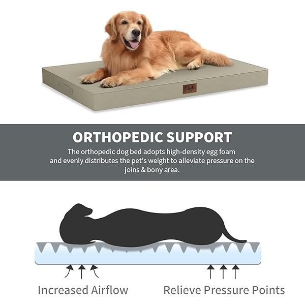 TAIL STORIES LARGE OUTDOOR ALL WEATHER DOG BED, WATERPROOF PET BED FOR LARGE DOGS, ORTHOPEDIC EGG CRATE FOAM WITH WASHABLE REMOVABLE OXFORD COOLING COVER, 36X27 INCH, KHAKI