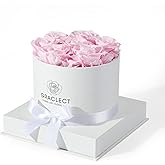 Graclect Flowers for Delivery Prime - Preserved Roses in a Box - Forever Flowers, Immortal Roses, Eternal Rose Birthday Gifts for Her, for Mom - Pink Rose