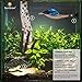 SunGrow Betta Bed Kit, 4 to 6-inches, Comfy Hammock, Rest Area for Fish, Improves Health by Simulating Betta's Native Habitat, 6 Beds + 2 Suction Cups Included