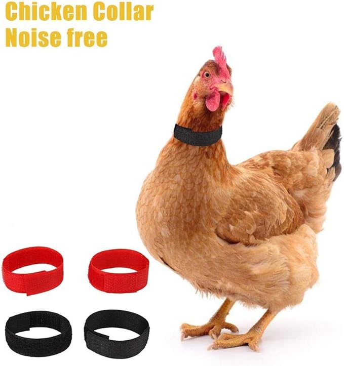 ningxiao586 Chicken Collar AntiHook Noise Free Neckband, 4pcs Collars