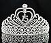 Janefashions Quinceanera Sweet 15 Fifteen 15th Birthday Party coronas de quinceañeras Clear White Austrian Rhinestone Tiara Crown with Hair Combs Princess Gold Silver T1756 (Silver With Combs)