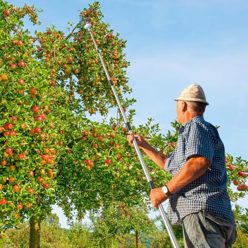 MaidMAX Fruit Picker, Fruit Picker, Stick for Picking Apples, Pears, Peaches, 4 Metres Long
