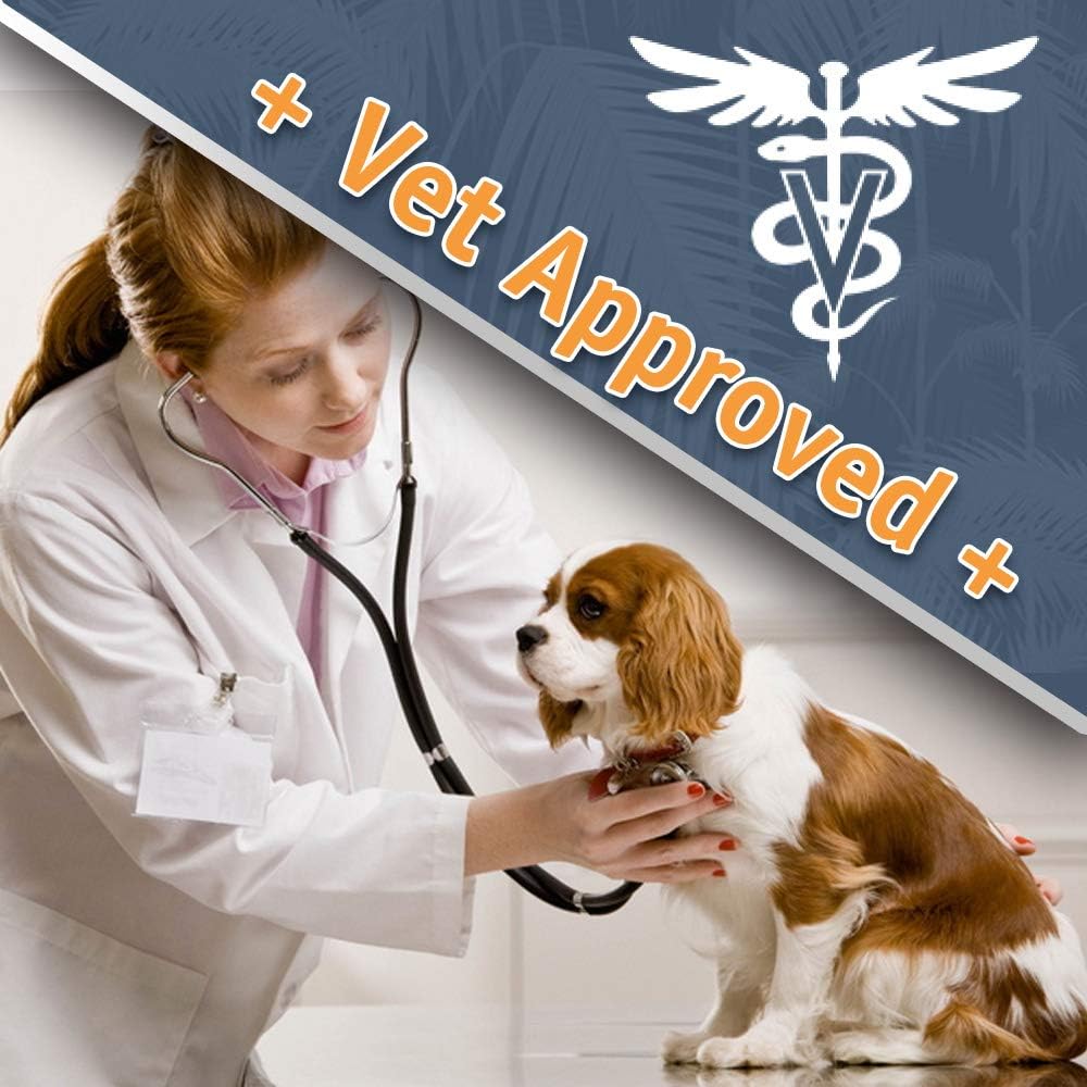 Antifungal + Antibacterial Medicated Wipes for Dogs & Cats - with Ketoconazole & Chlorhexidine - for Hot Spots, Ring Worm, Itch & Irritation : Pet Supplies