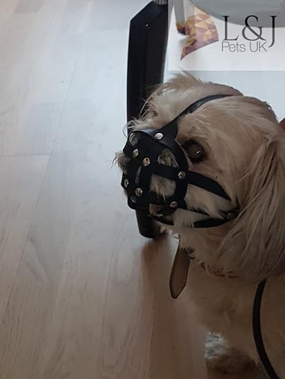 dog muzzle for shih tzu