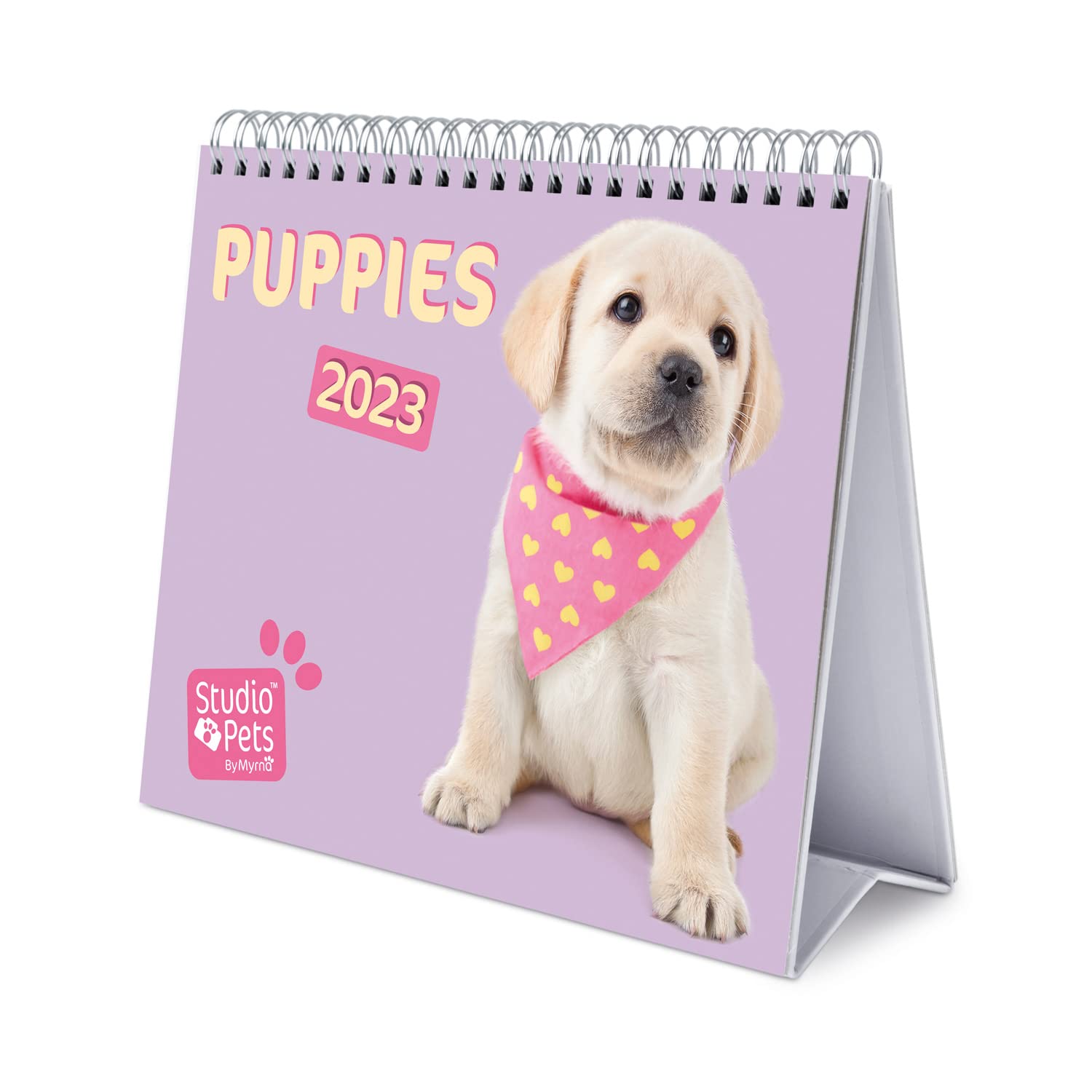 Grupo Erik Studio Pets Dogs Calendar 2023 - Desktop Calendar 2023-7 X 8 Inches / 18 X 20 - Dogs Desk Calendar 2023-12 Month 2023 Planner - Dog Calendar 2023