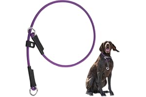 DISCPETSEC Slip Collar for Dog Show Collar Dog Training Collar - 26'' Slip Dog Collar Lightweight Adjustable Waterproof PVC Dog Slip Collar No Pull Dog Collar Purple Dog Collar Dog Slip Lead Collar