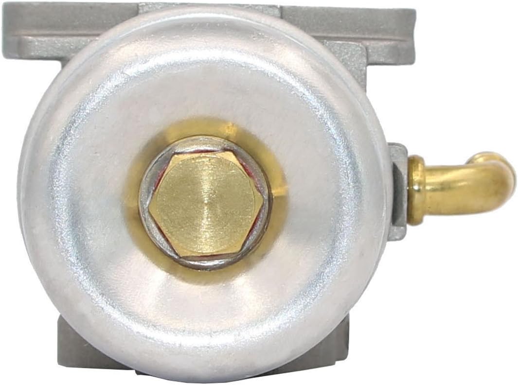 798653 Carburetor for Briggs & Stratton 696981 698860 694508 795069 698859 790180 790290 693865 697354 698474 791991 698810 698857 698478 694174 690046 693751 Craftsman 791077 Carburetor 591299 798650 : Garden & Outdoor