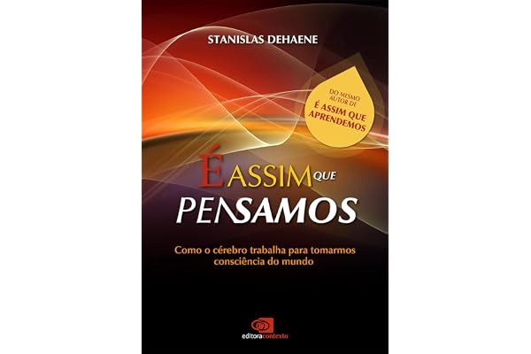 É assim que pensamos: como o cérebro trabalha para tomarmos consciência do mundo