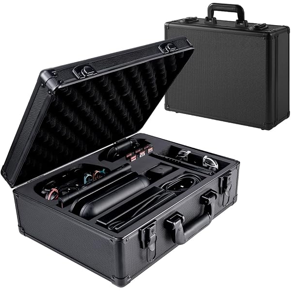 Amazon.com: GH EVA All In One Carrying Case for Multiple Switchs