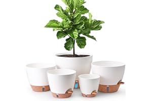 T4U Self Watering Pots 5 Pack (6/8/9/10/12 Inch), Planters with Water Level Window and Wick Rope for Busy People, Heavy Duty 