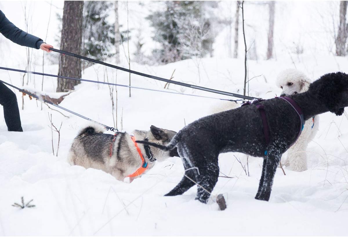 Non-Stop Dogwear Touring Bungee Leash, Black/Grey - 2.0m/23mm - Image 5