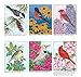 Birds at Home Coloring Book: 50 State Birds and Flowers (Design Originals) From Alabama's Camellia to Wyoming's Meadowlark with 24 Removable Cards, Common & Scientific Names, and 12 Inspiring Examples