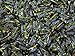 Brazilian Coffee Candy 3.52 oz (100g)