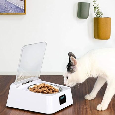 Amazon Com Macddy Automatic Pet Feeder Dog And Cat Feeder Food