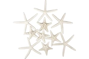 Jangostor 12 PCS Starfish 2-6 Inch Mixed Starfish Natural Seashells Starfish Star Fish Shells Decorations Perfect for Wedding Decor Beach Theme Party, Home Decorations, DIY Crafts, Fish Tank
