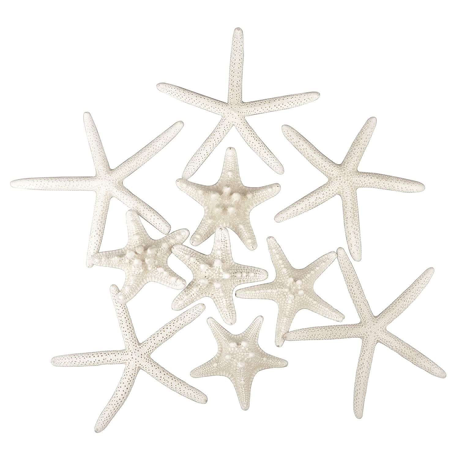 Photo 1 of Jangostor 12 PCS Starfish 2-6 Inch Mixed Starfish Natural Seashells Starfish Star Fish Shells Decorations Perfect for Wedding Decor Beach Theme Party, Home Decorations, DIY Crafts, Fish Tank