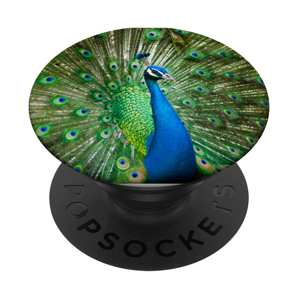 Peacock Peafowl Swan-like Flamingo Collapsible Pop Out Mount PopSockets Swappable PopGrip