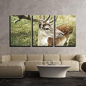 Closeup of Virginia Deer with Big Antler x3 Panels