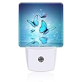 Magic Butterflies on Water Night Light for